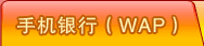 �ֻ����У�WAP��
