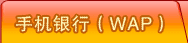 �ֻ����У�WAP��