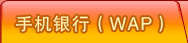 �ֻ����У�WAP��