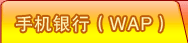 �ֻ����У�WAP��